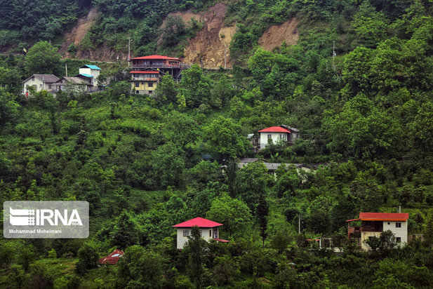 جنگلهای هیرکانی