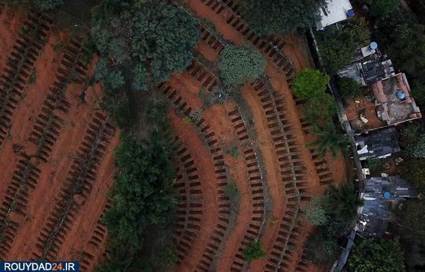 اجساد کرونایی