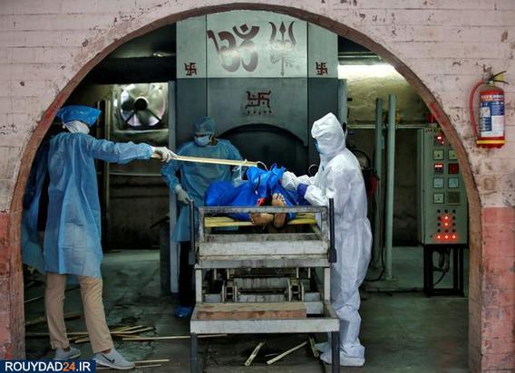 اجساد کرونایی