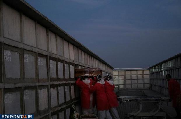 اجساد کرونایی