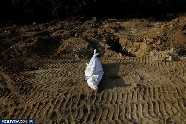 اجساد کرونایی