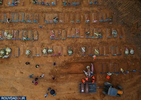 اجساد کرونایی