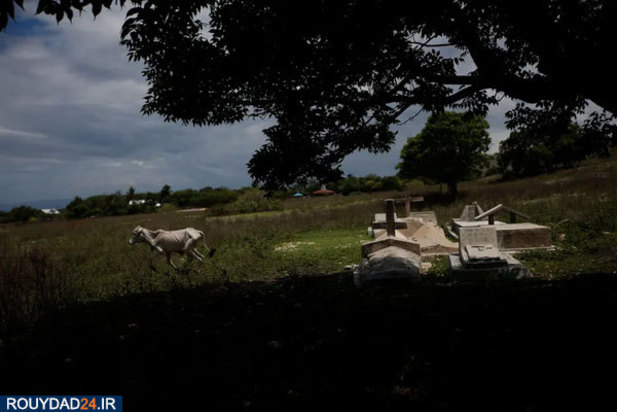 خشکسالی در اندونزی