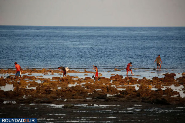 خشکسالی در اندونزی