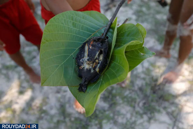 خشکسالی در اندونزی