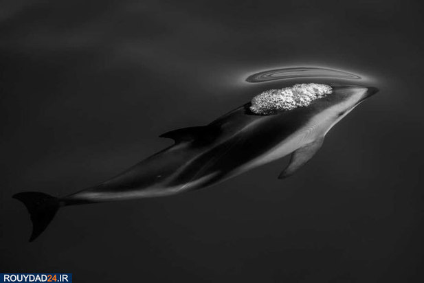 بهترین عکس‌های سفر