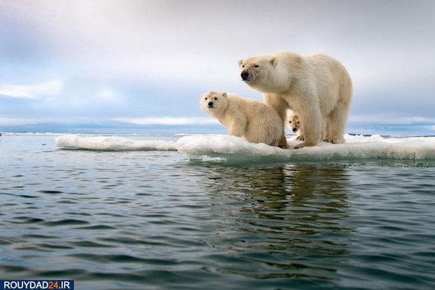 بهترین عکس‌های سفر