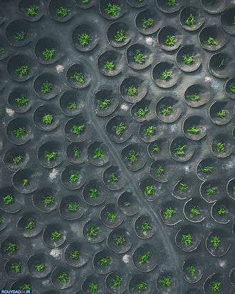 زمین از بالا