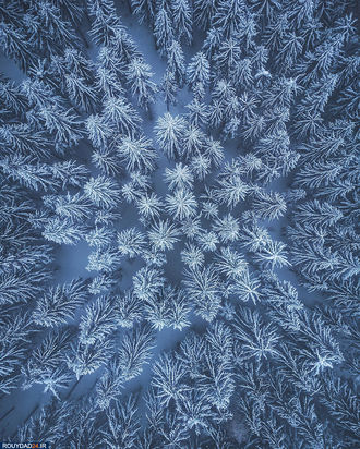 زمین از بالا