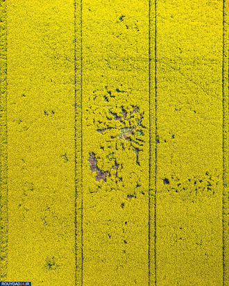 زمین از بالا