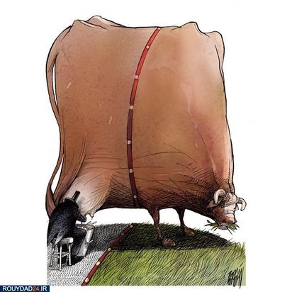 تصویرسازی تفکربرانگیز