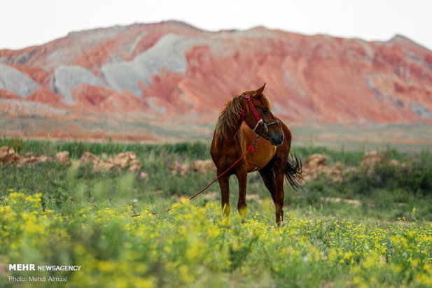 گردشگری ایران