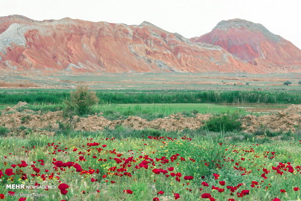 گردشگری ایران