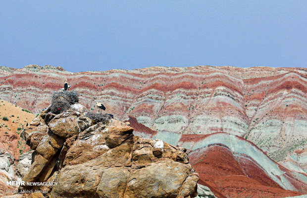 گردشگری ایران