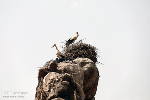 گردشگری ایران