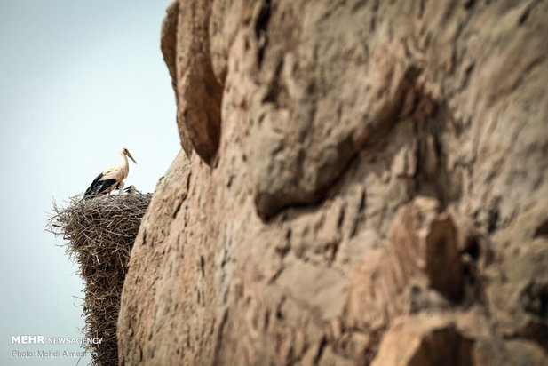 گردشگری ایران