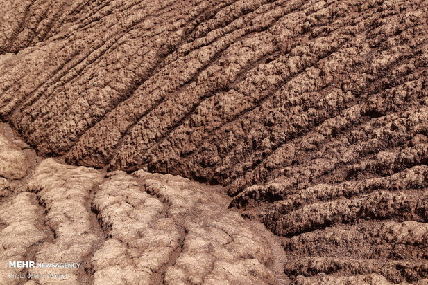 گردشگری ایران