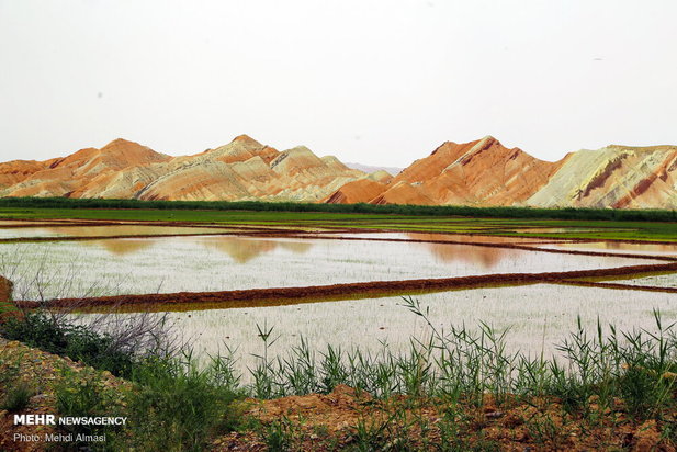 گردشگری ایران
