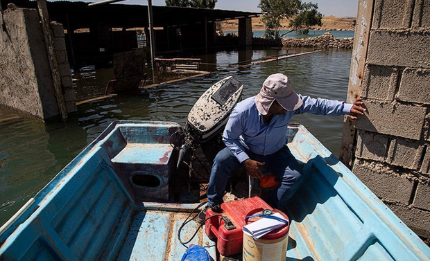 تصاویر جالب