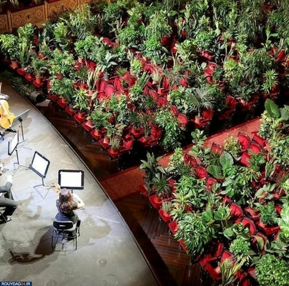 کنسرتی برای گلها