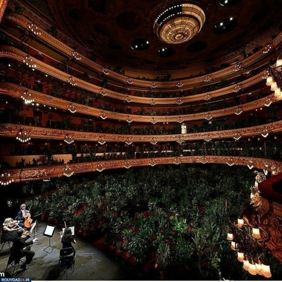 کنسرتی برای گلها