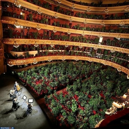 کنسرتی برای گلها