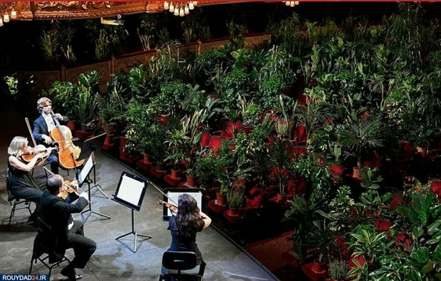 کنسرتی برای گلها