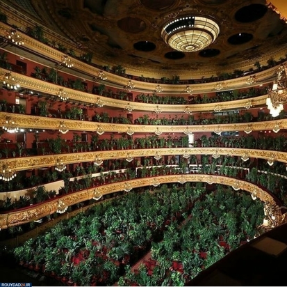 کنسرتی برای گلها