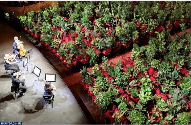 کنسرتی برای گلها