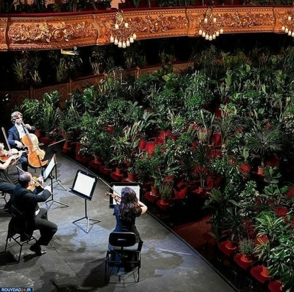 کنسرتی برای گلها