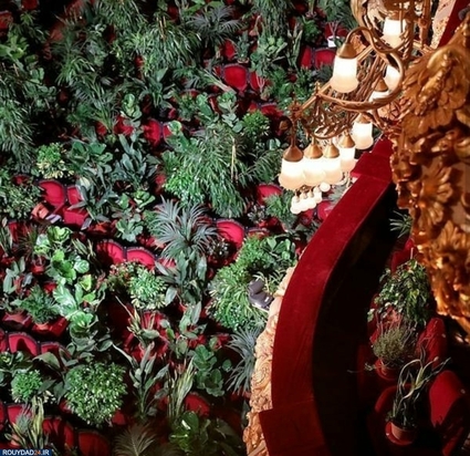 کنسرتی برای گلها