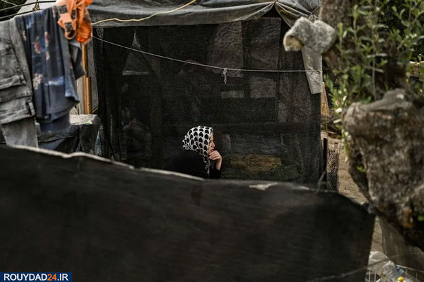 بهترین تصاویر هفته