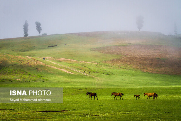یکماه در تصویر