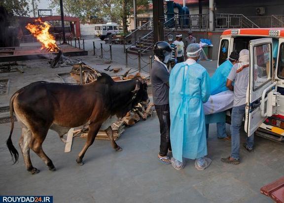 هند و قرنطینه ای دیگر