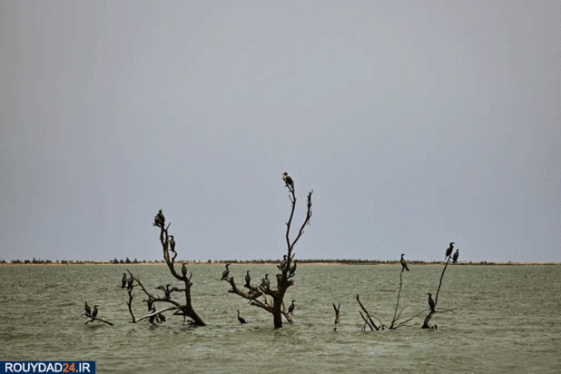 ویرانه‌های ساحل سنگال