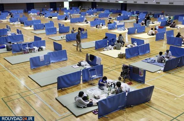 سیل در ژاپن