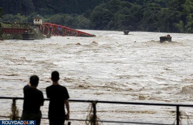 سیل در ژاپن