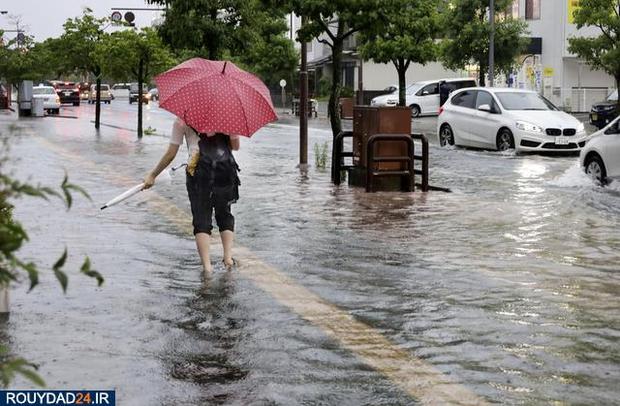 سیل در ژاپن