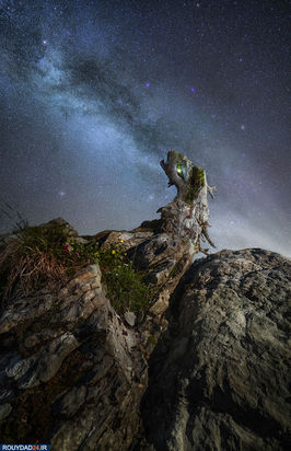 عکاسی در شب