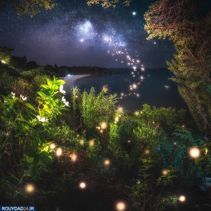 عکاسی در شب