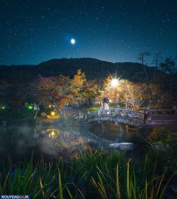 عکاسی در شب