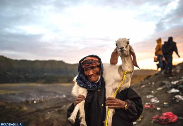 جشنواره عجیب و غریب کاسادای 