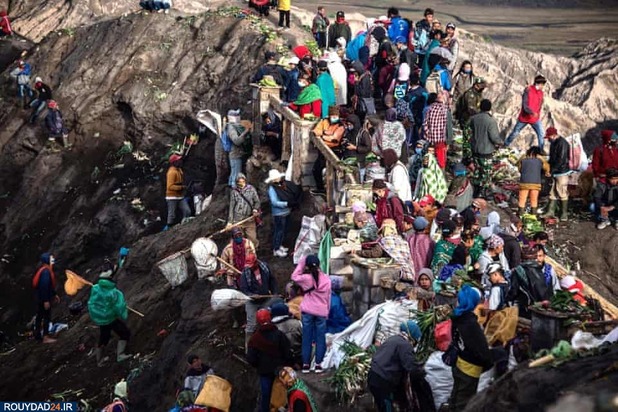 جشنواره عجیب و غریب کاسادای 