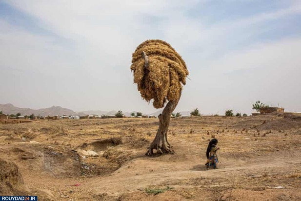 رنج آوارگان حملات بوکوحرام