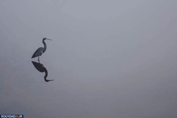 عکاسی مینیمالیستی