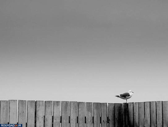 عکاسی مینیمالیستی