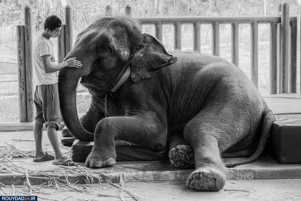 مسابقه عکاسی هلسینکی