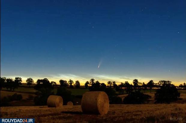 ستاره دنباله دار