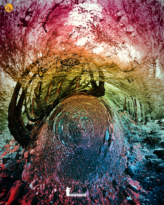 عکاسی طبیعت