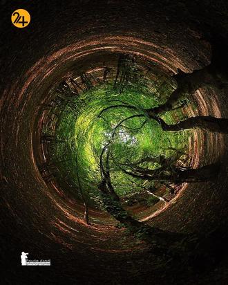 عکاسی طبیعت